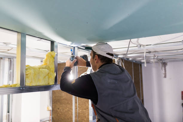 Best Specialized Insulation Services in Westland, MI