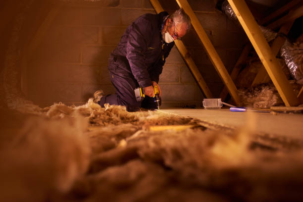Types of Insulation We Offer in Westland, MI